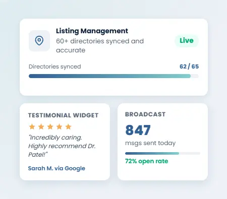 AI & Search Visibility